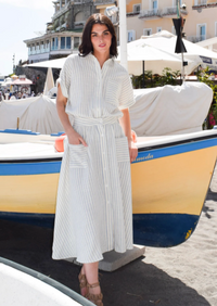 NAW Blue Stripe Button Down Skirt