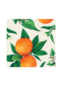 Orange Orchard Cocktail Napkins