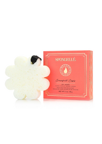 Grapefruit Cassis Spongelle