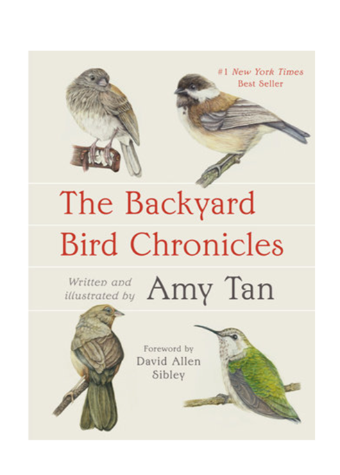 The Backyard Bird Chronicles