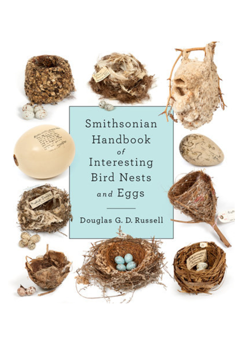 Interesting Nests and Eggs