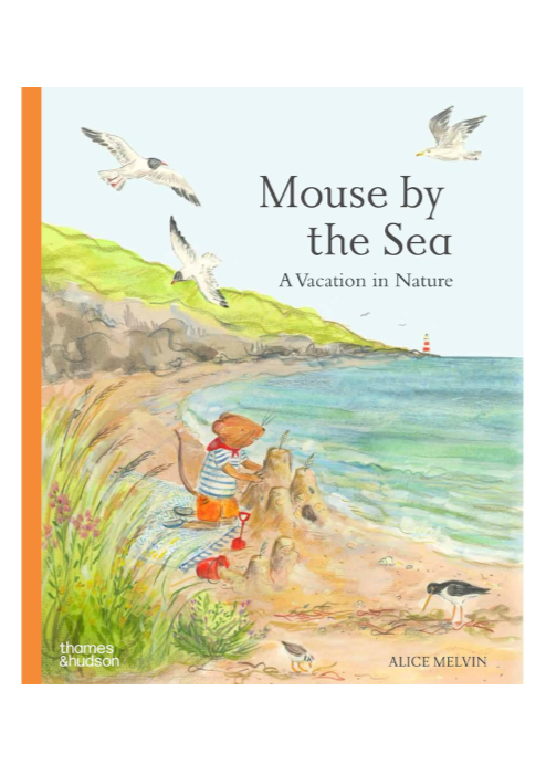 Mouse by the Sea: A Vacation in Nature