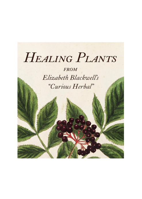 Healing Plants: From Elizabeth Blackwell's A Curious Herbal (Tiny Folio)