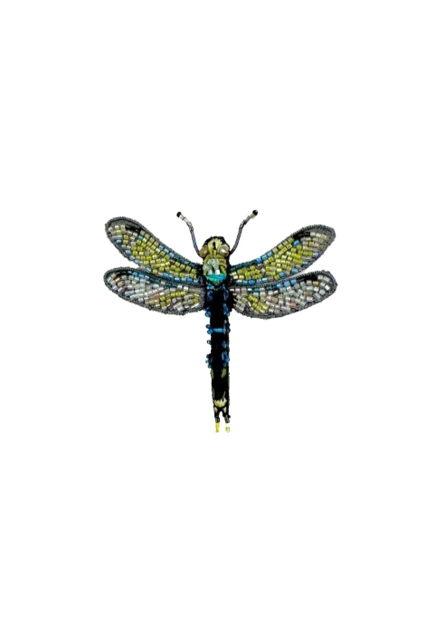 Common Hawker Dragonfly Brooch