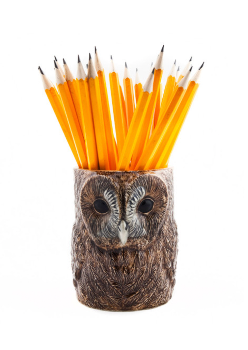 Tawny Owl Pencil Pot