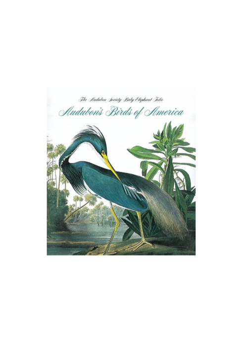 Audubon's Birds Of America (Tiny Folio)
