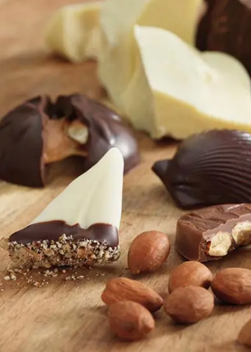 Harbor Sweets Nautical Chocolates 20 Pcs