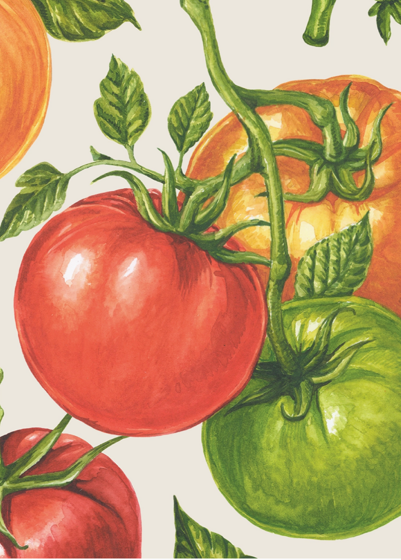 Tomato Cocktail Napkins