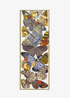 Inoui Scarf 70 Papillons White
