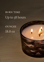 Thymes Noir Woods 3-Wick Poured Candle