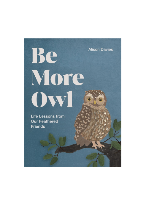 Be More Owl: Life Lessons from Our Feathered Friends