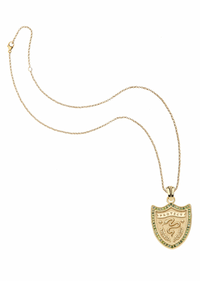 Jane Win PROTECT Shield Pendant