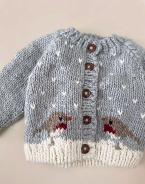 Robin Holiday Baby Sweater