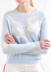 Jumper1234 Seagull Crew