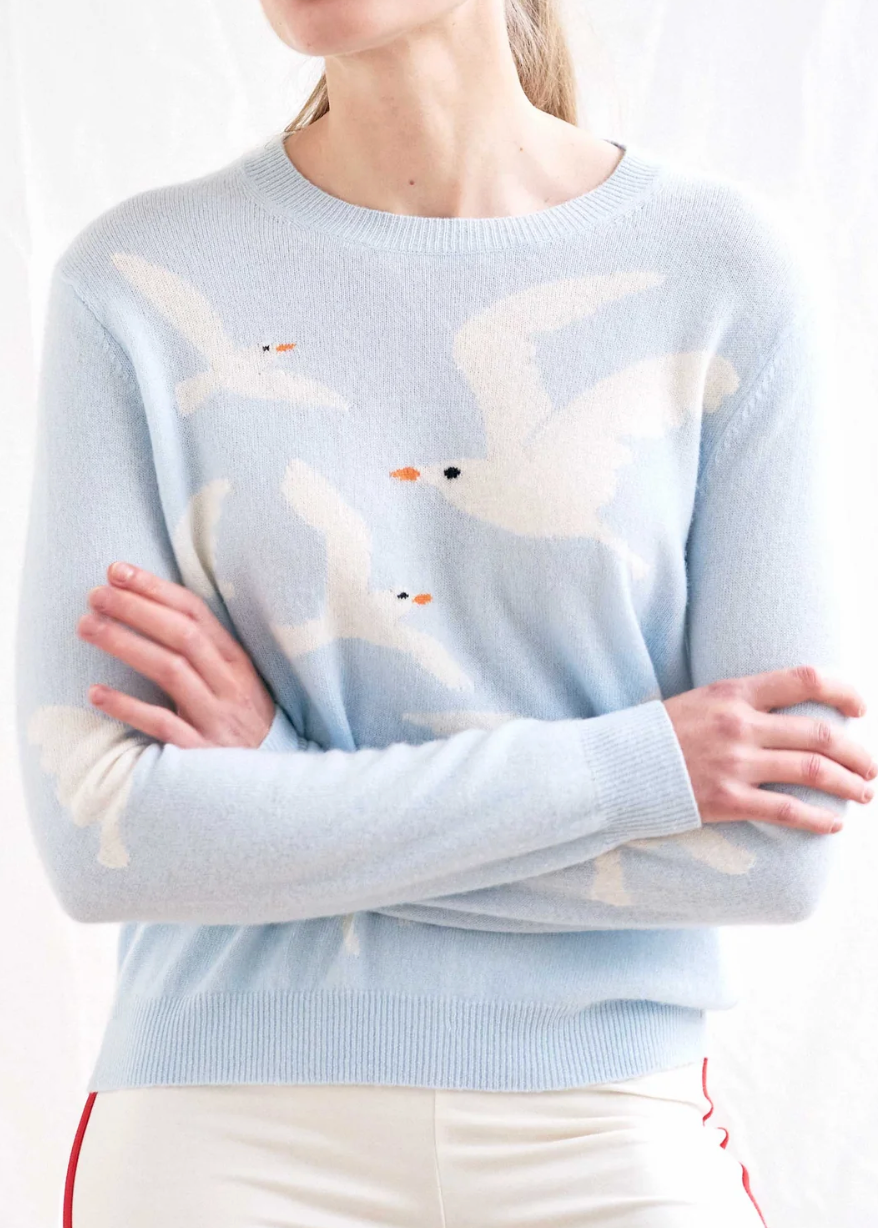 Jumper1234 Seagull Crew