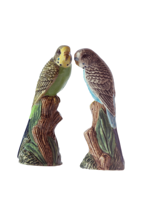 Budgerigar Salt & Pepper