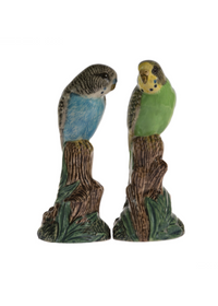 Budgerigar Salt & Pepper