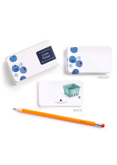 Blueberries Little Notes 55 Count
