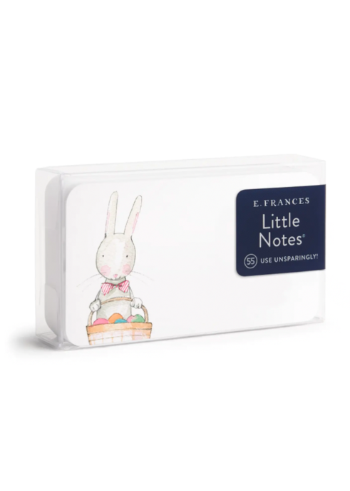 Easter Bunny Little Notes 55 Count