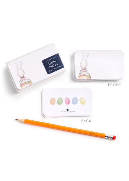 Easter Bunny Little Notes 55 Count