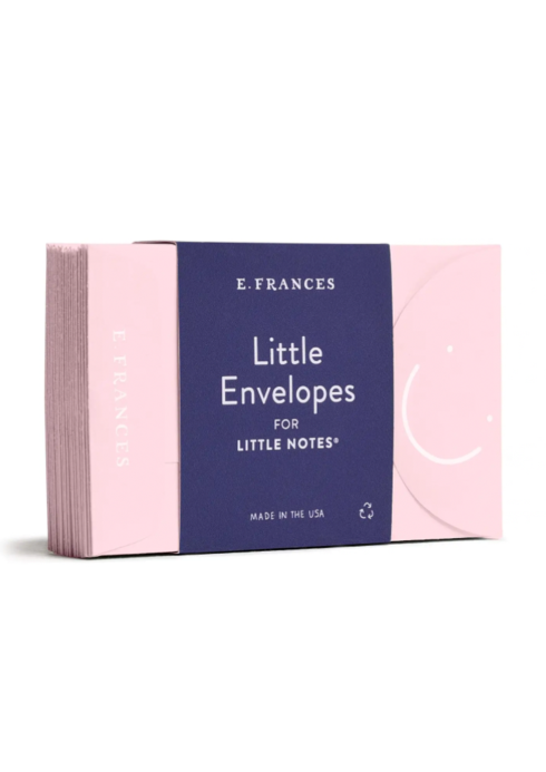 Little Notes Envelopes in Petal
