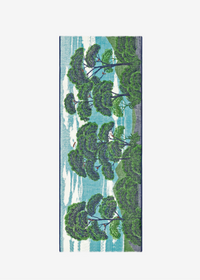 Inoui Scarf 70 - Ambroise Green