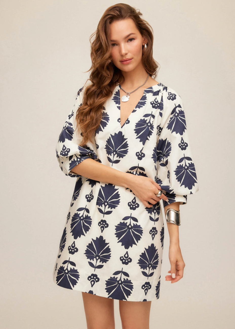 Brianne Lantern Sleeve Dress