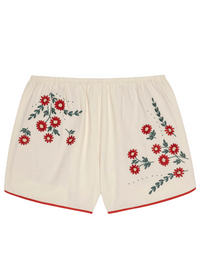 The Great Dolphin Short