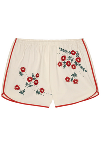 The Great Dolphin Short