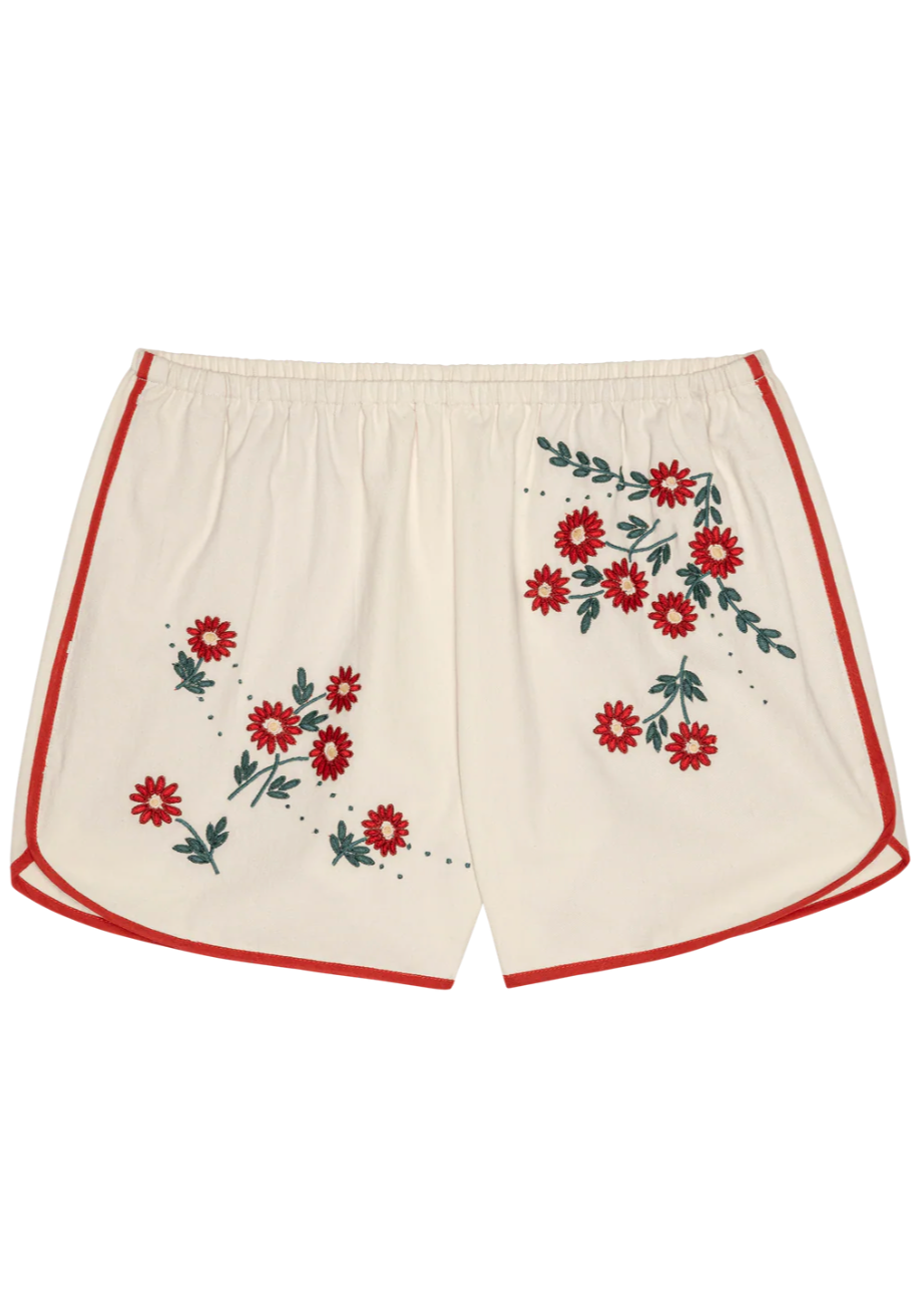 The Great Dolphin Short