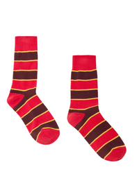 The Great Collegiate Socks