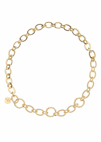 A gold chain necklace with oval links and a small round charm, displayed on a clean white background.
