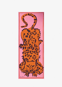Inoui Scarf 70 Felino Pink