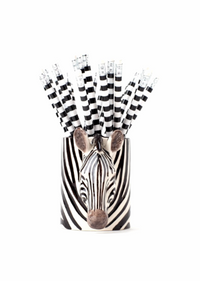 Zebra Pencil Pot
