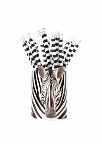 Zebra Pencil Pot