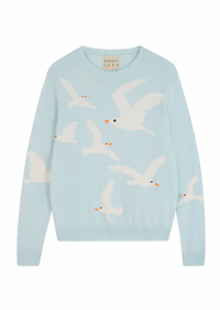 Jumper1234 Seagull Crew