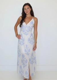 Isabella Buta Blue Dress