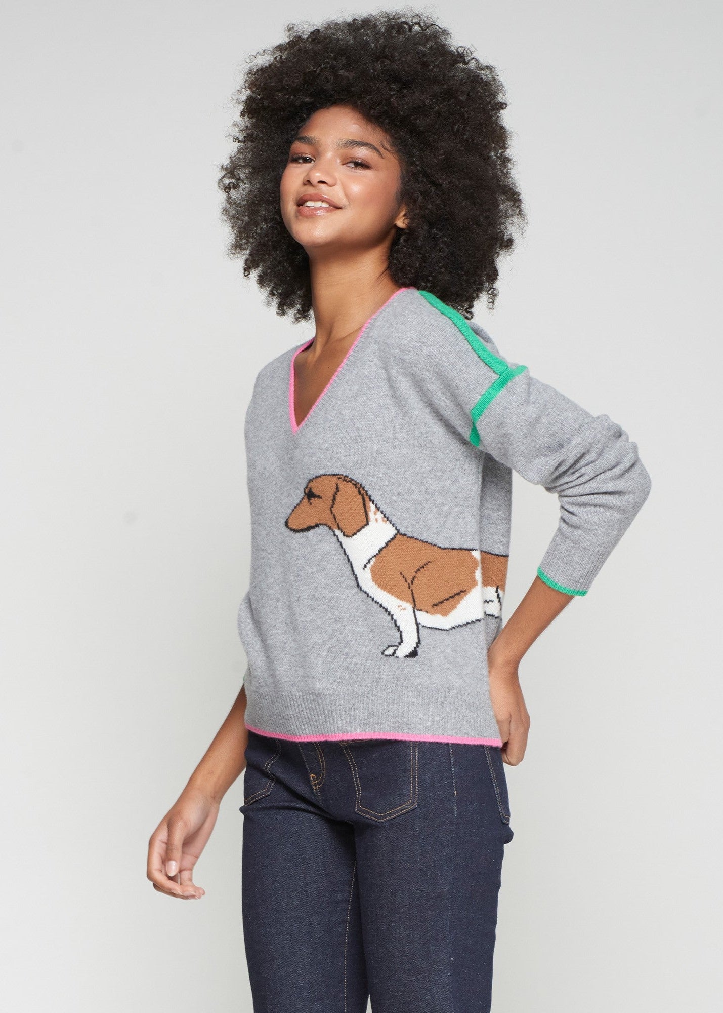 Vilagallo Grey Dachshund Sweater