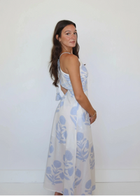 Isabella Buta Blue Dress