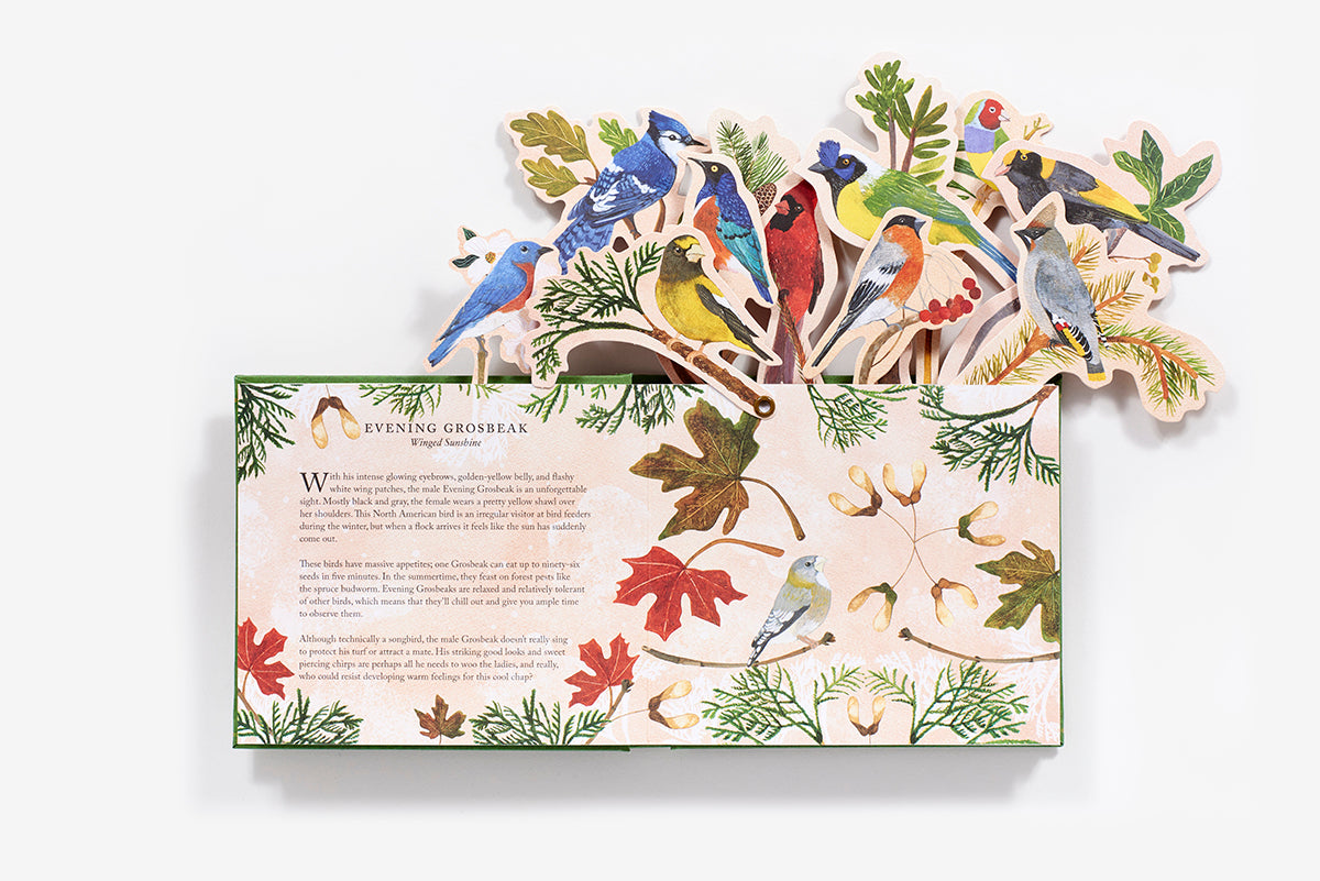 Birds In A Book