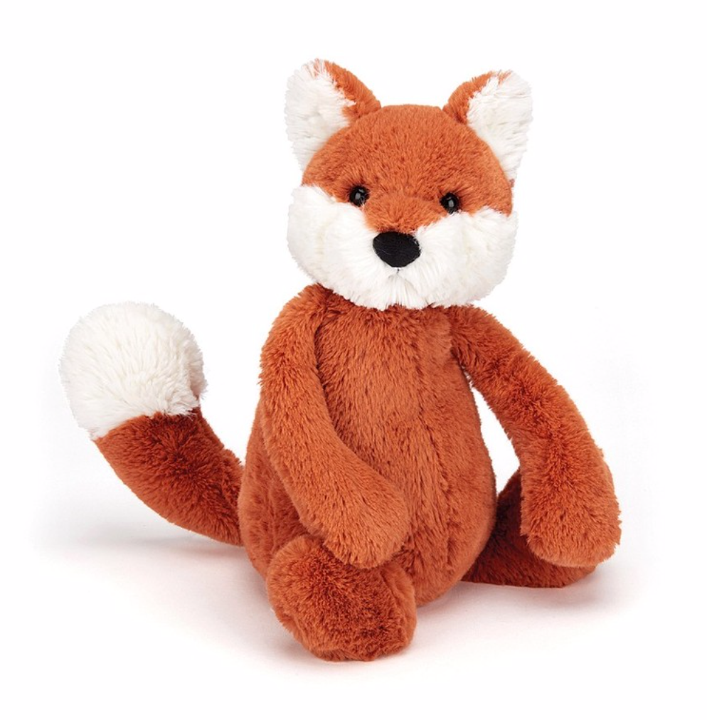 Bashful Fox Cub