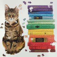 Queen of the Stacks Puzzle