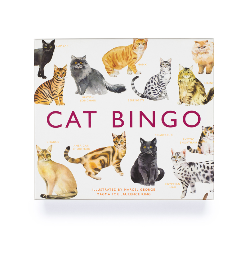 Cat Bingo