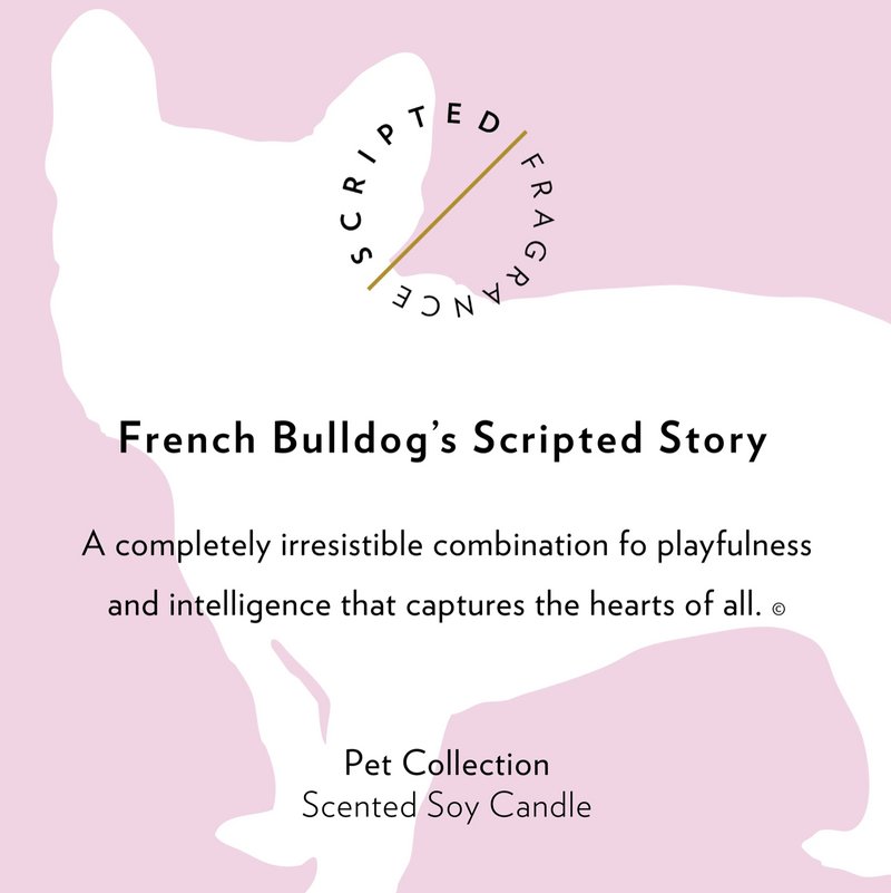 French Bulldog Dog Soy Candle