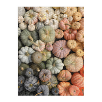 Heirloom Pumpkin Puzzle