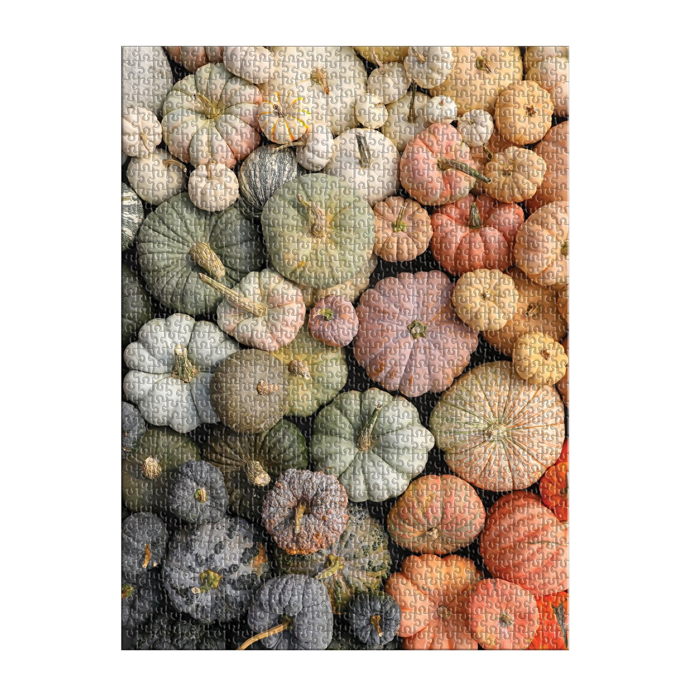 Heirloom Pumpkin Puzzle