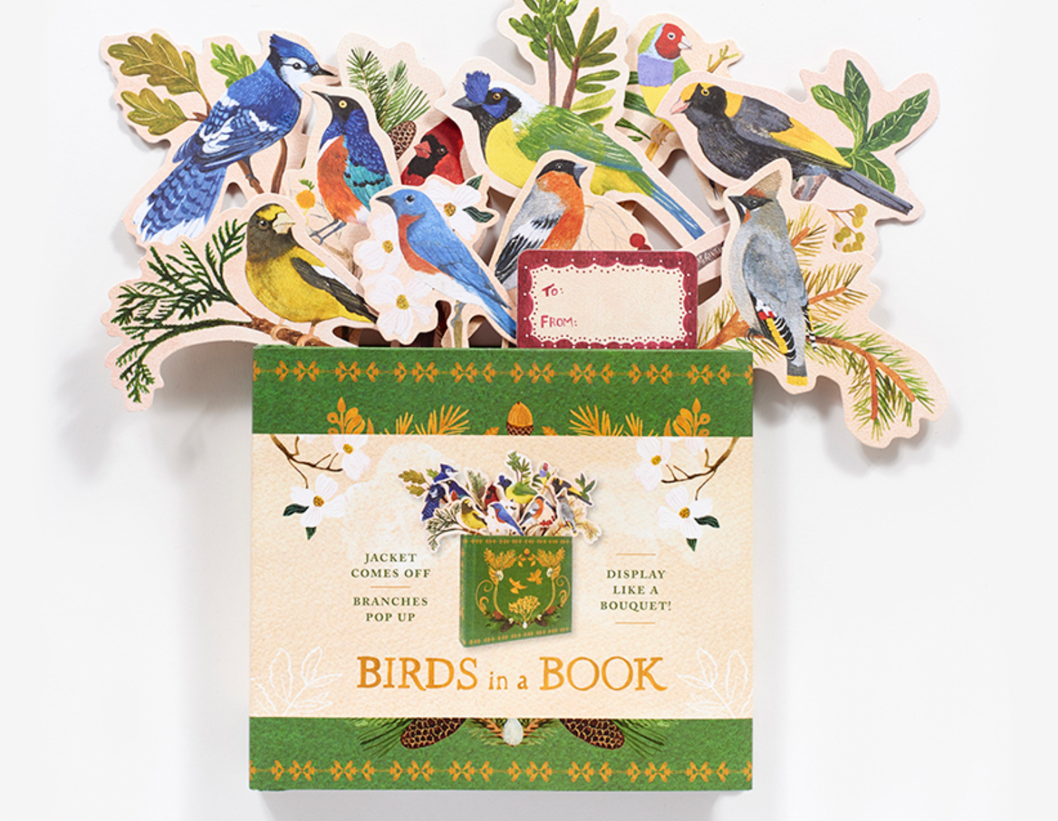 Birds In A Book
