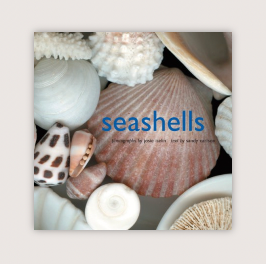Seashells