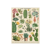Cavallini & Co. Cacti Puzzle