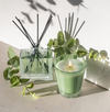 NEST Mint & Eucalyptus Candle